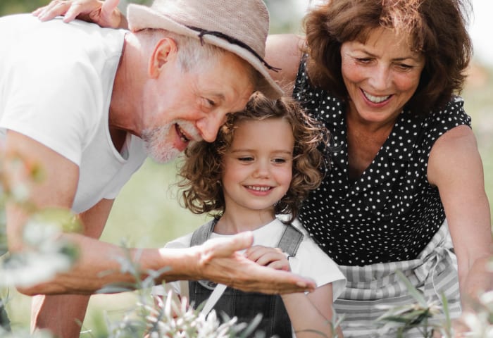 Preventive Hygiene,  Kanata Dentist